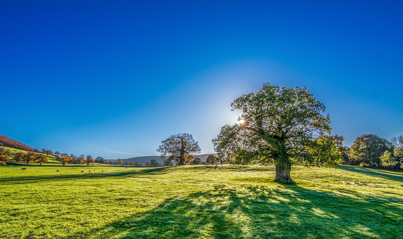 How to Build an Inspiring Morning Ritual